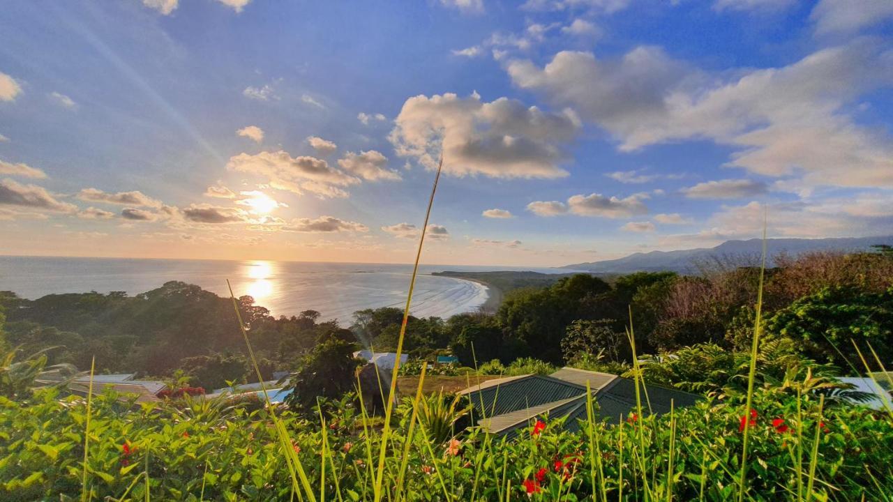 Ballena Paraiso Lodge Uvita Eksteriør billede