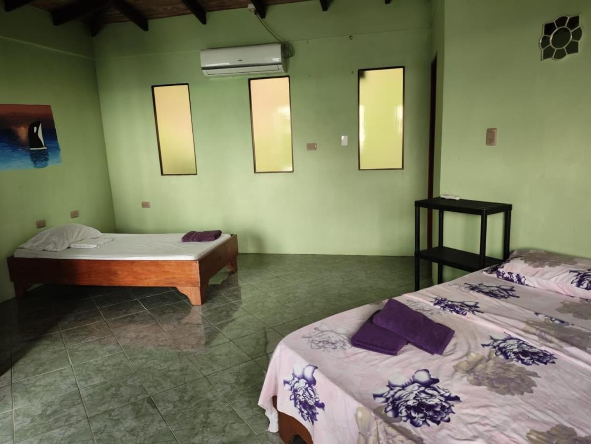 Ballena Paraiso Lodge Uvita Eksteriør billede