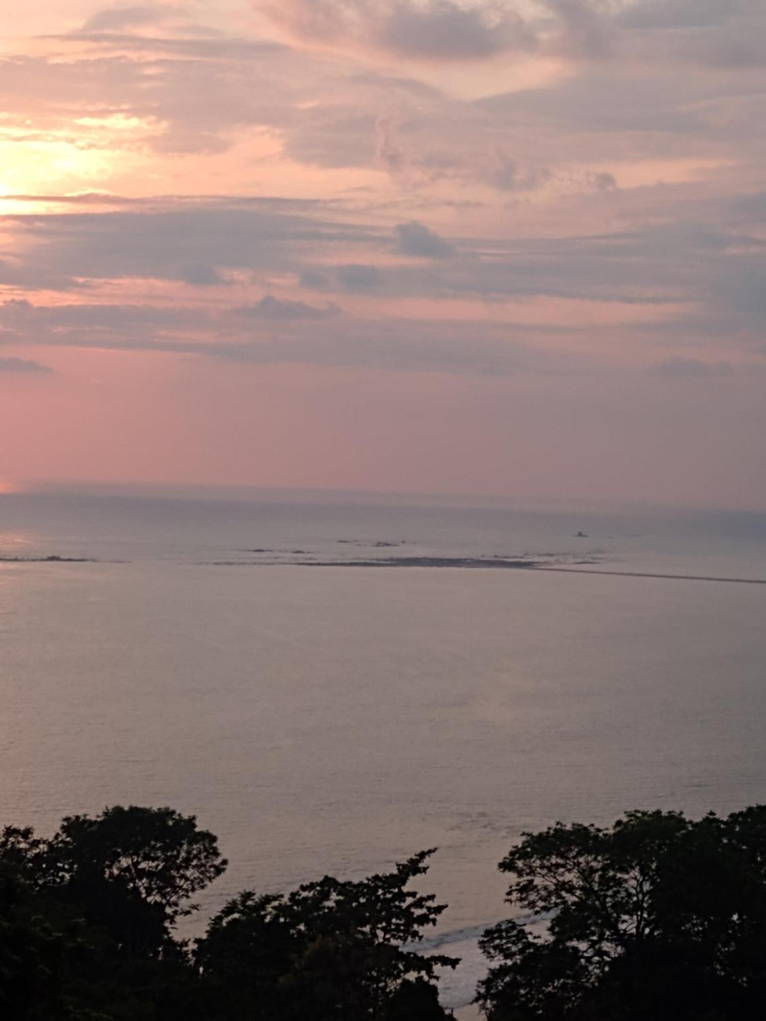 Ballena Paraiso Lodge Uvita Eksteriør billede